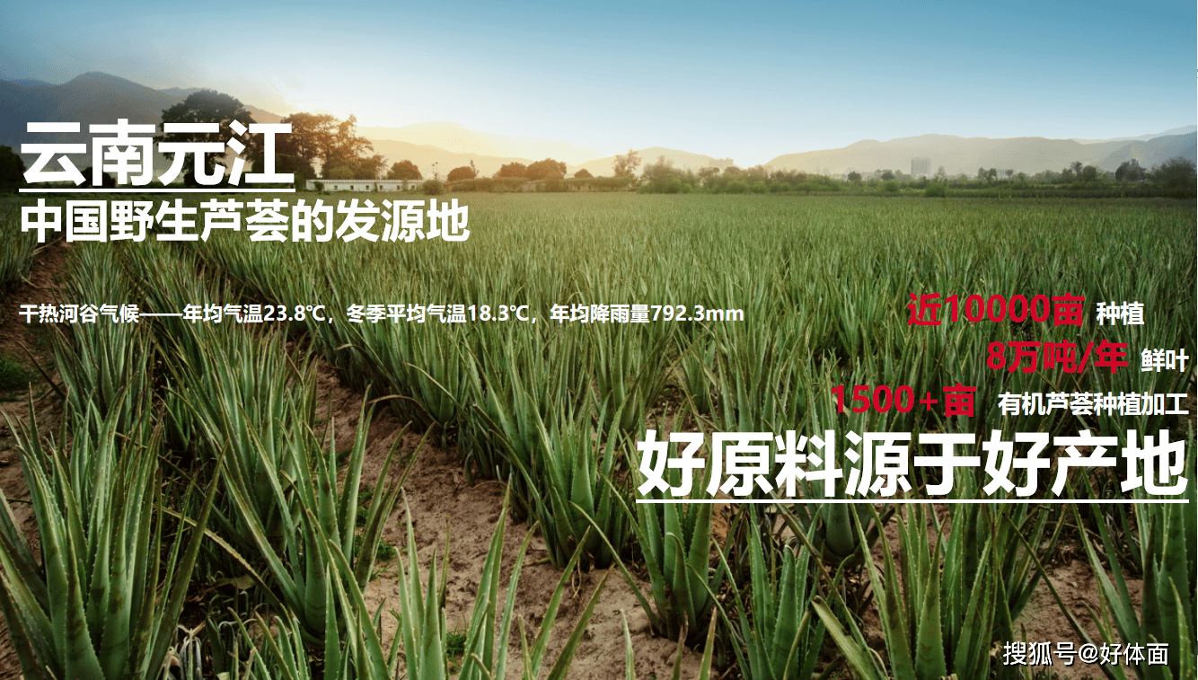 约助力2024玉溪抚仙湖半程马拉松圆满成功j9九游会真人第一品牌好体面受玉溪文旅局邀(图2)