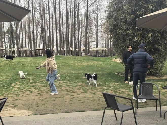 么感觉上海人好像都不上班j9九游会(中国)网站怎(图3)